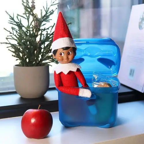 Elf on the Shelf in a Cozy Container