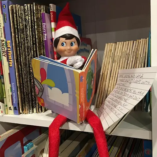 Elf on a Book Shelf