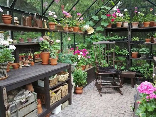 Racks and Floating Shelves in the Greenhouse