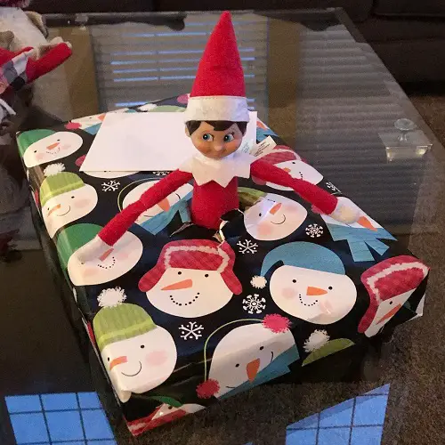 Elf on the Shelf Inside a Present