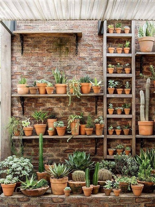 Ladder Shelving