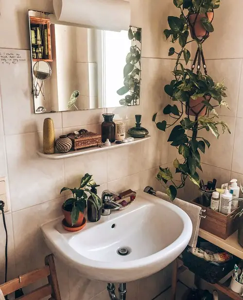 Add Plants in bathroom