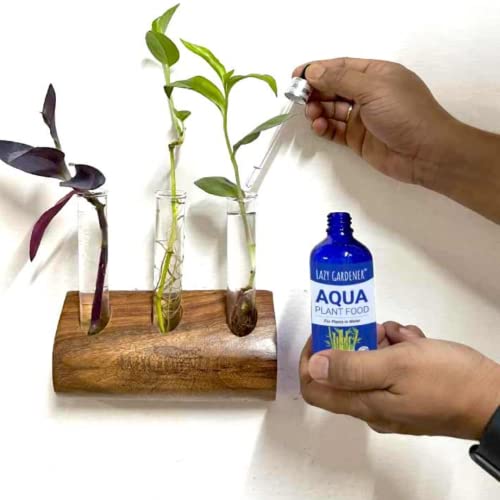 Balanced Liquid Fertlizer