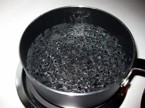 How to Get Rid of Drain Flies