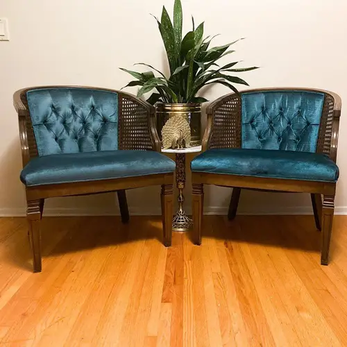 Cast Iron Plant Between Couches