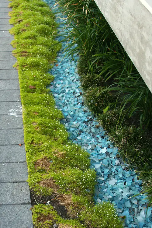 Colored Glass in dry river