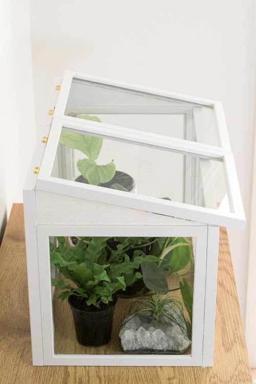 Best Indoor Greenhouse Ideas You Must Try 4