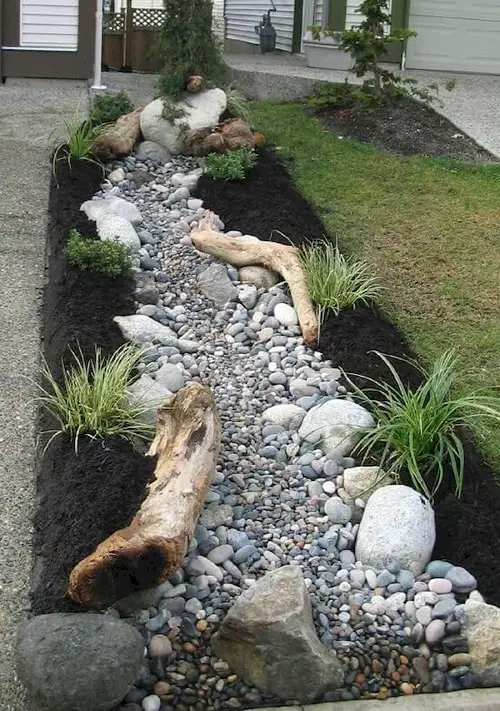Driftwood in dry river bed