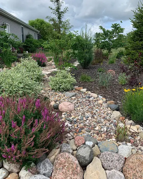 Dry Creek Bed with Shrubs