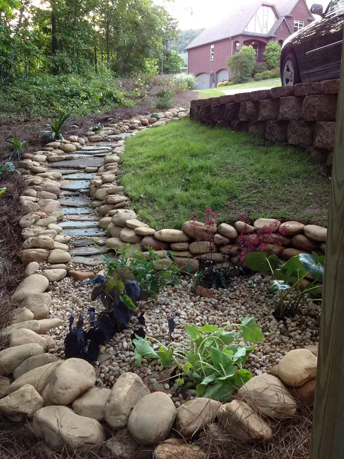 top Creek for Rainfall