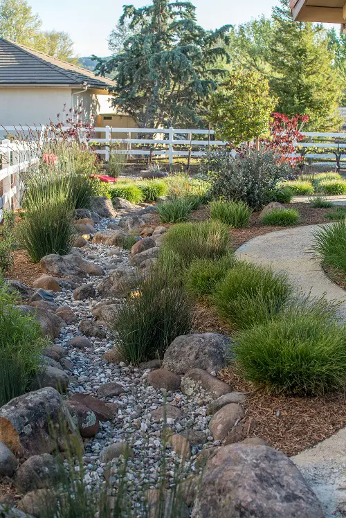 Dry River in garden