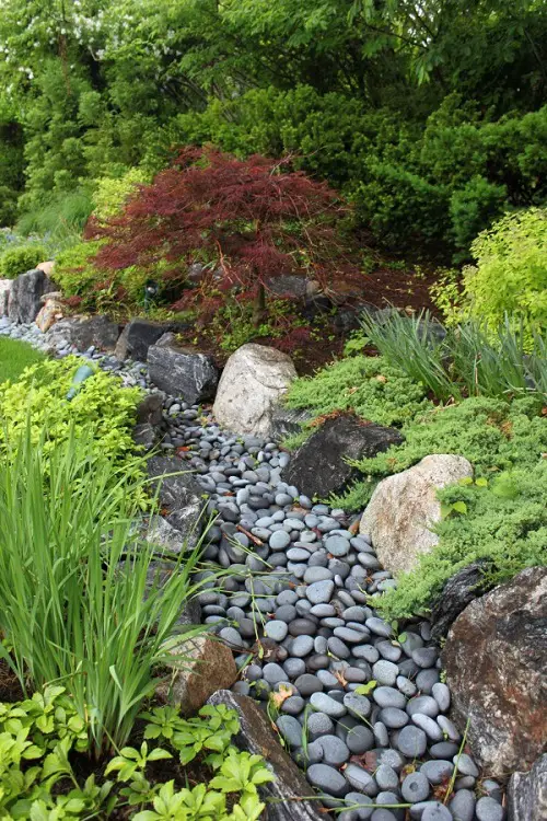 Dry Stream in river bed