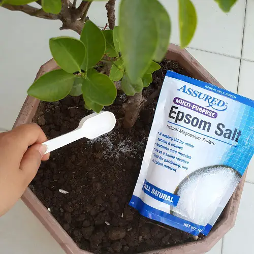 What is Epsom Salt