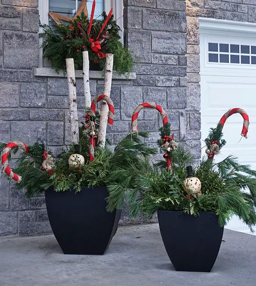 Stylish Planters in porch