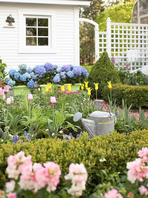 Spring Bulbs Flowerbed