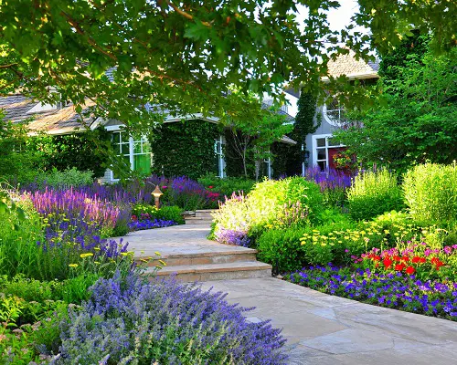 Large Flowerbed with Different Plants and Blooms
