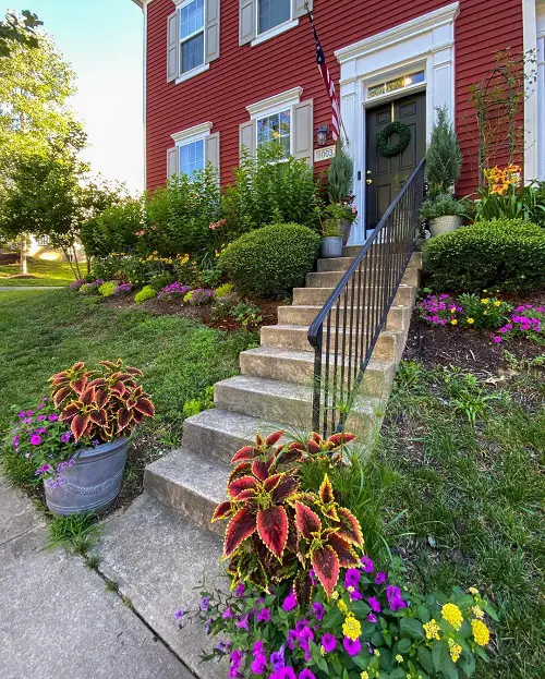 Flower Bed Ideas for Front of House Shrubs and Tiny Blooms