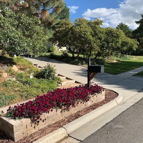 A Small Flowerbed
