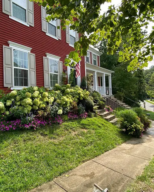 Stunning Flower Bed Ideas for Front of House