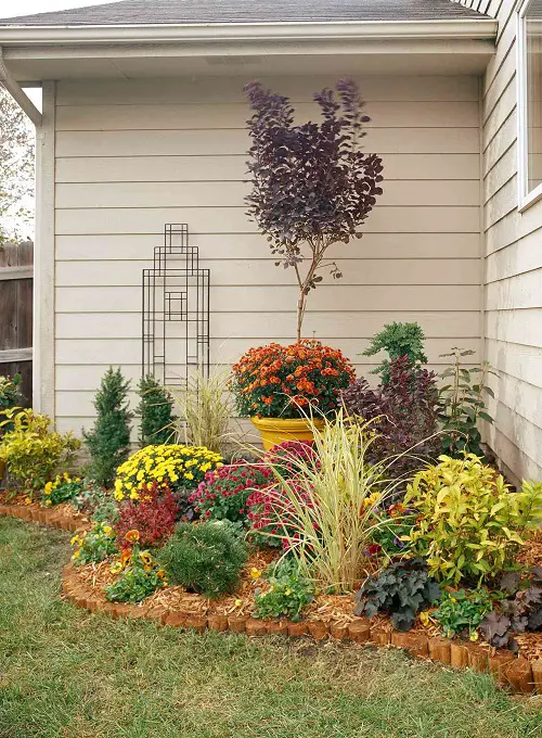 A Flowerbed with Shrubs