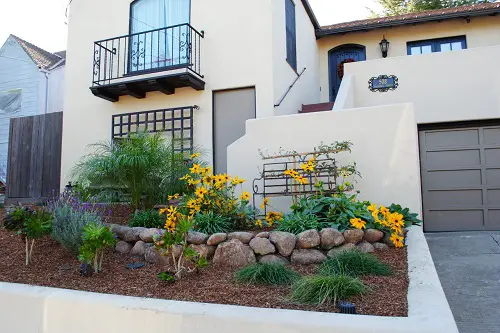 A Flowerbed of Yellow Blooms