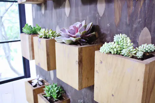 Square Wall Planters indoor garden ideas