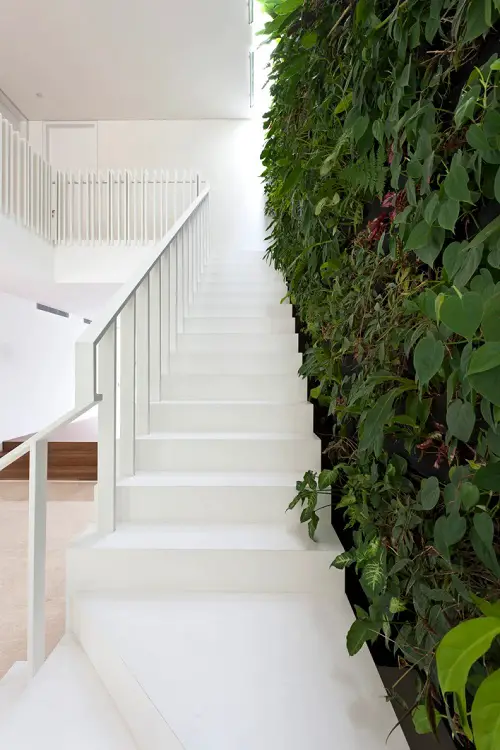 Garden on the Staircase Living Full of Big-Leafed Foliage
