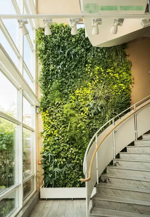 Flower Bed, Living Wall, and Lights in staircase