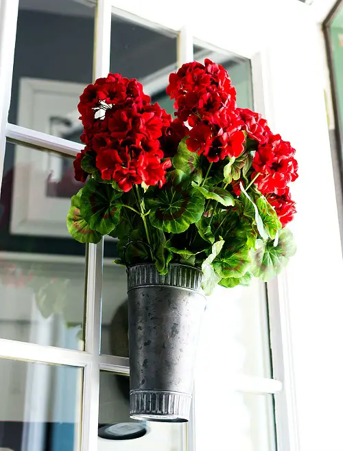 beautiful Plant Cuttings for Interior Vases That Look Good