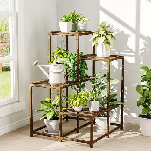 Rules for Decorating with Houseplants