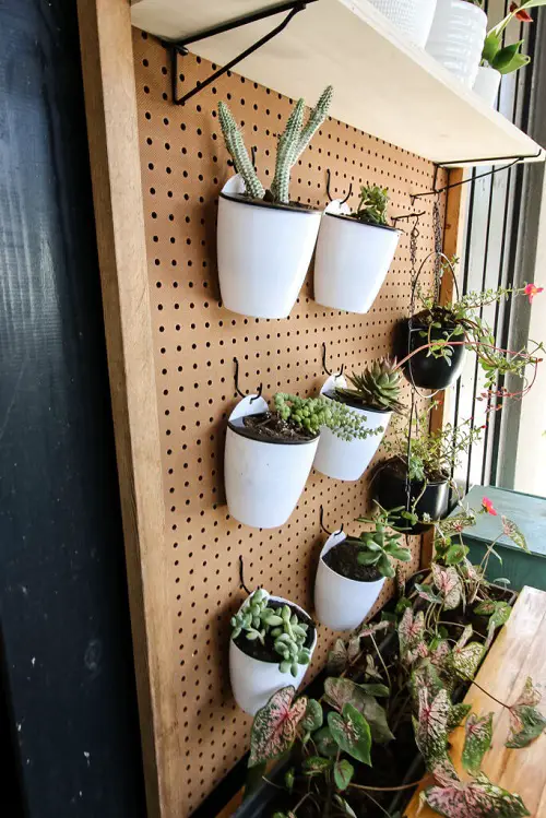 indoor garden Hanging Succulent Wall