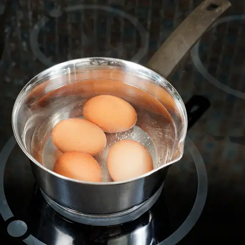 Hard-Boiled Egg Water for Plants