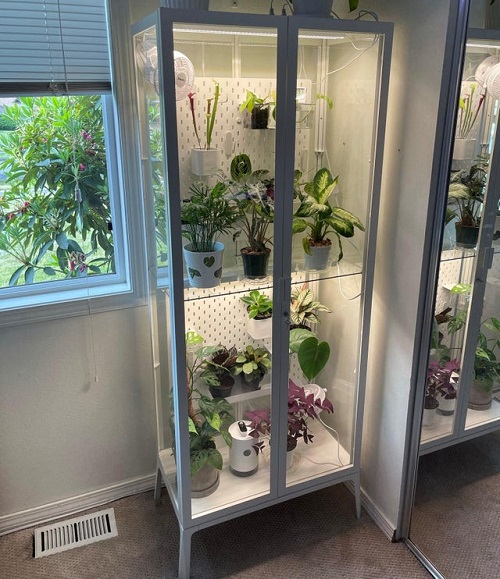 Best Indoor Greenhouse Ideas You Must Try 10