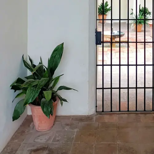 iron cost In the Corner