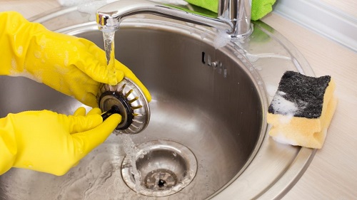 Try Keeping it Clean Get Rid of Drain Flies