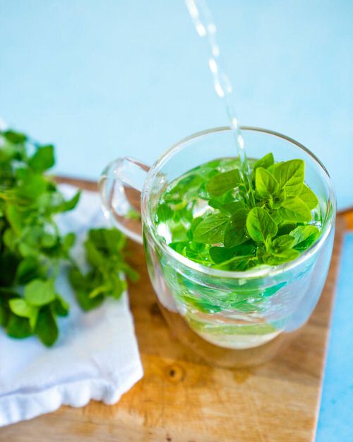 Kitchen Plants that Grow in Water in glass