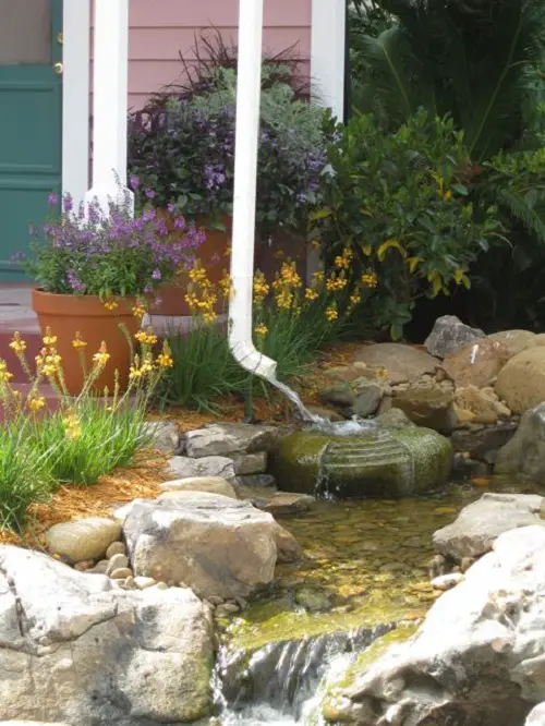 DIY rain garden Riverbed Landscaping Ideas