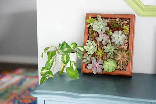 Succulent Wall Art indoor garden ideas