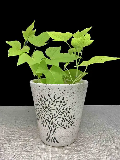great Plant Cuttings for Interior Vases That Look Good