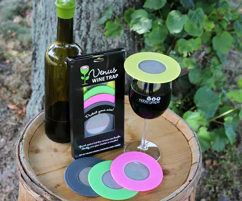 How to Kill Drain Gnats Pour Some Wine