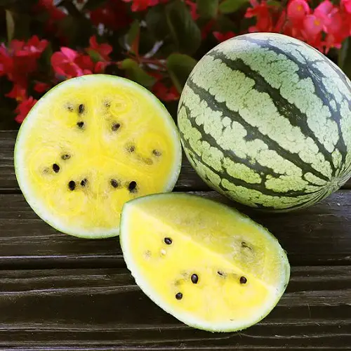 top Best Yellow Watermelons