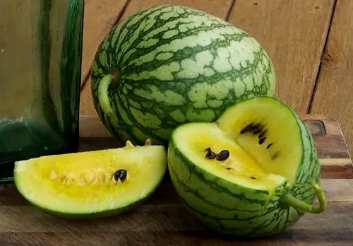 Garden's best yellow watermelons
