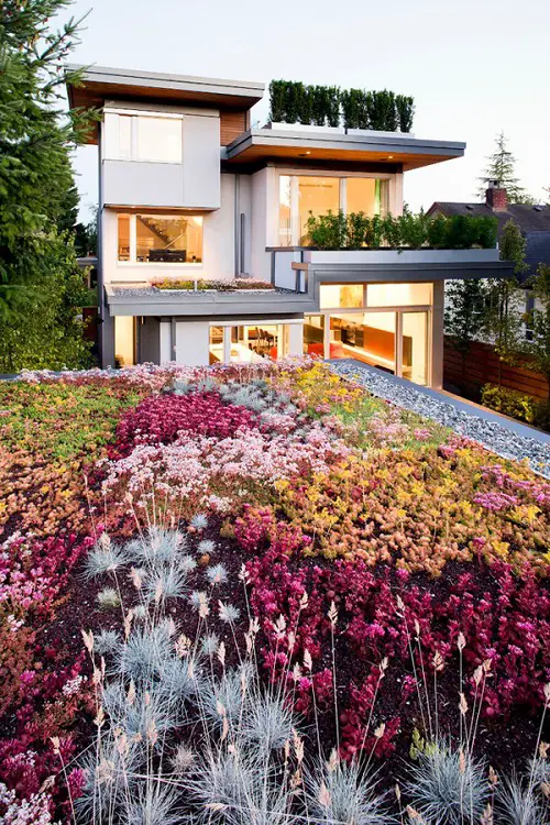 A Flower Bed Full of Colors in side yard