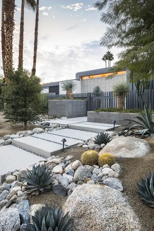 Boulders, Barrel Cacti, and Agaves in side yard