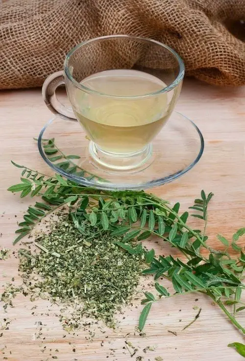 Amazing African Herbs You Can Grow for Cooking 5