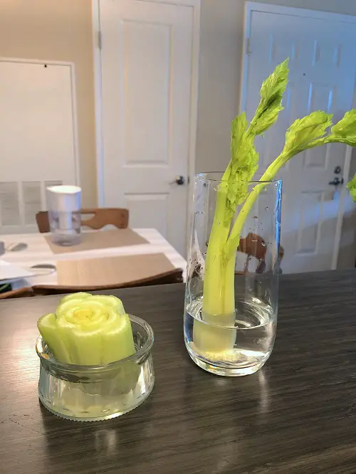 top best Kitchen Plants that Grow in Water