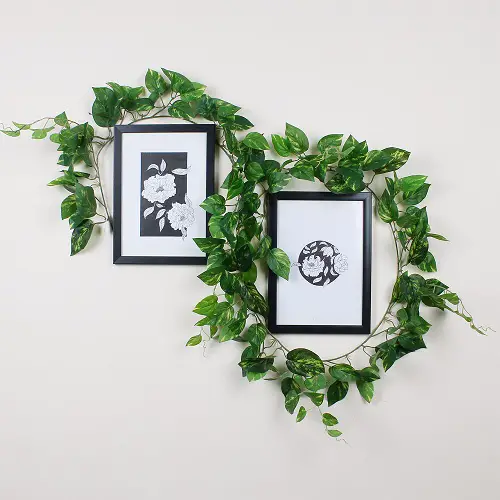 Hanging Indoor Vines as a Garland in frame cover