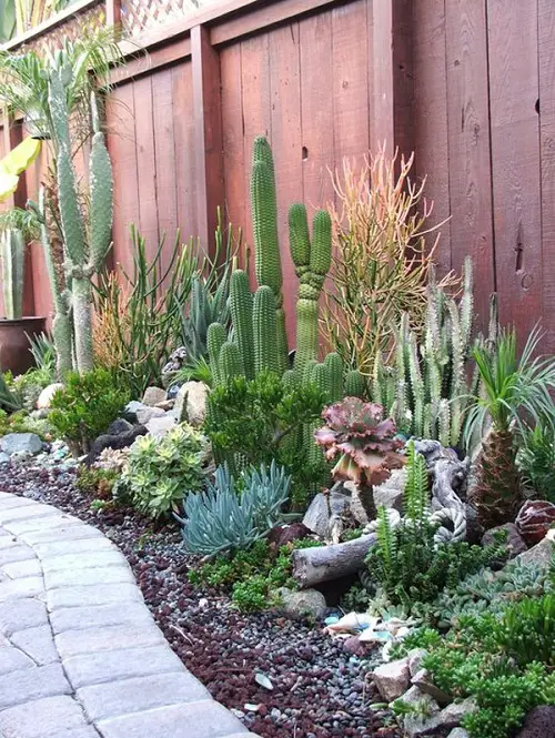 A Flower Bed of Cacti and Succulents