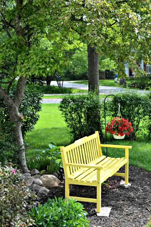 A Vibrant Yellow Bench