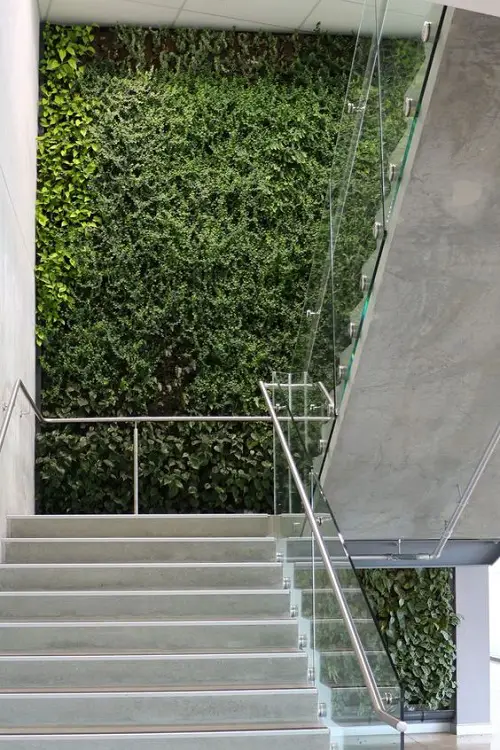 staircase An Amazing Living Wall